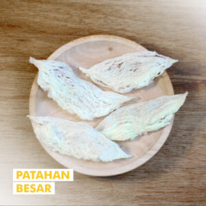 Patahan-Besar-300x300